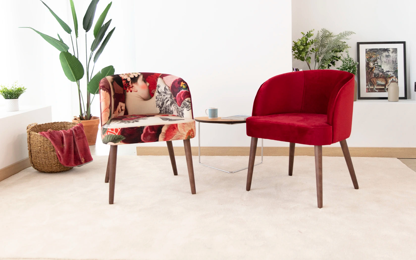Draco Armchair