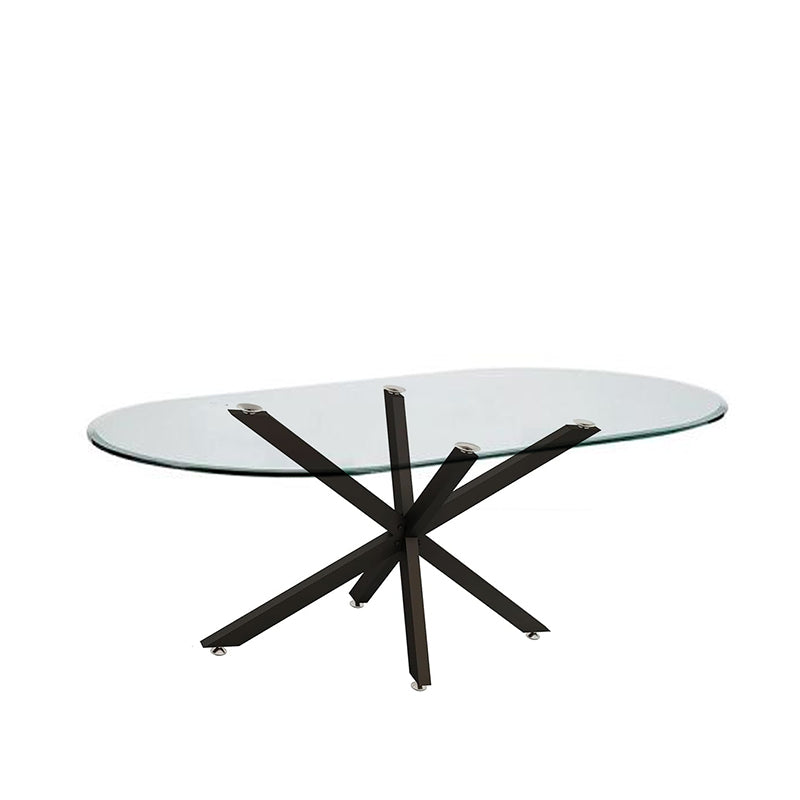 Oval Glass Dining Table (Floor Special)