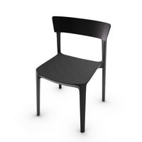 CS1391 SKIN Frame P15 pp MATT BLACK Seat P15 pp MATT BLACK