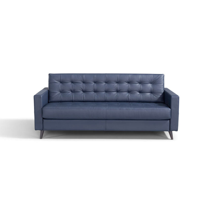 Brioso Queen Sleeper Sofa